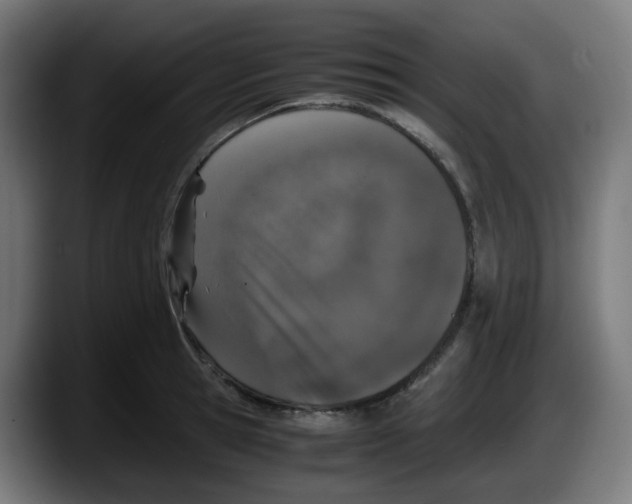 X0000087560945200705251757