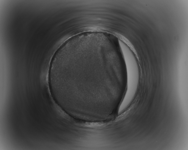 X0000087560946200705251757