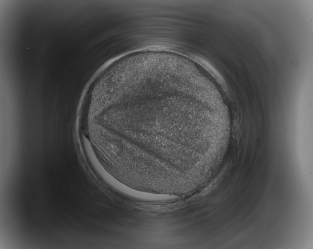 X0000087560948200705251757