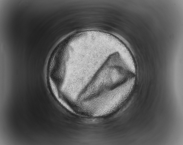 X0000087560949200705251757