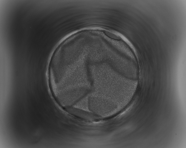 X0000087560951200705251757