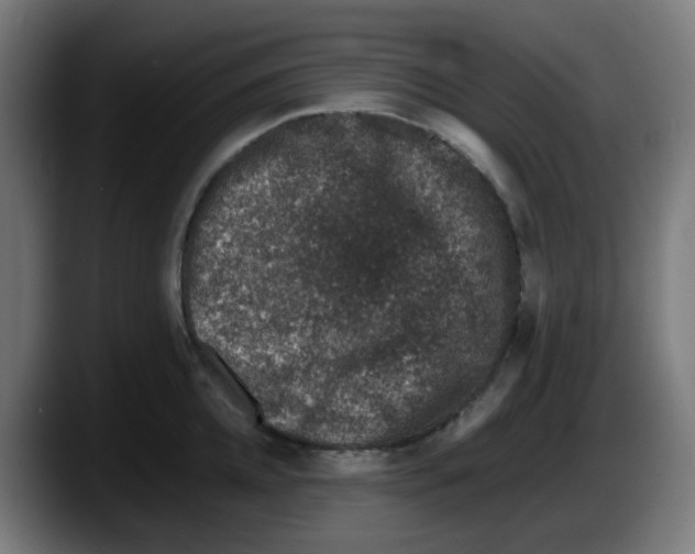 X0000087560952200705251757