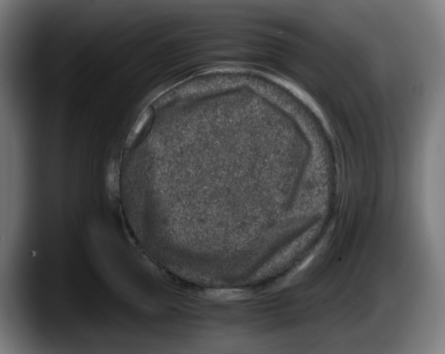 X0000087560953200705251757