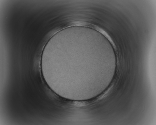 X0000087560954200705251757