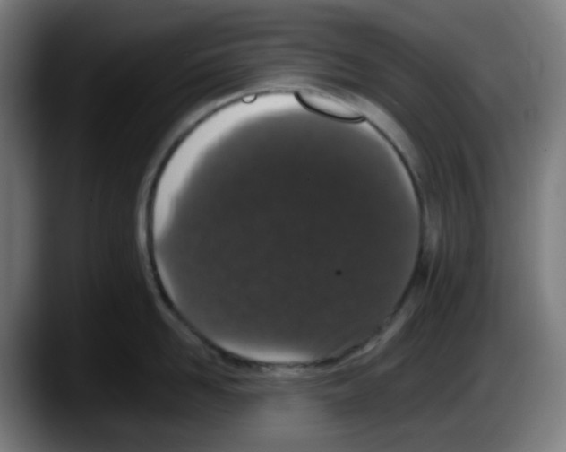 X0000087560958200705251757