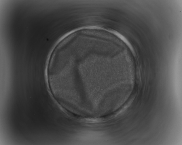 X0000087560959200705251757