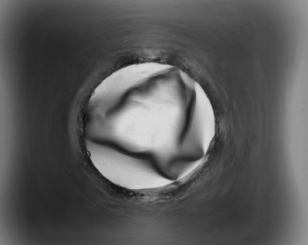 X0000087560961200705251757
