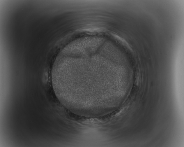 X0000087560966200705251757