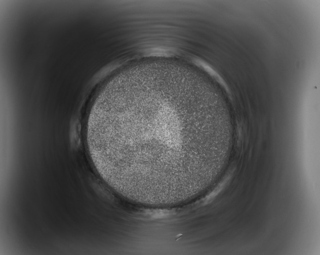 X0000087560970200705251757