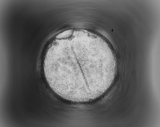 X0000087560971200705251757