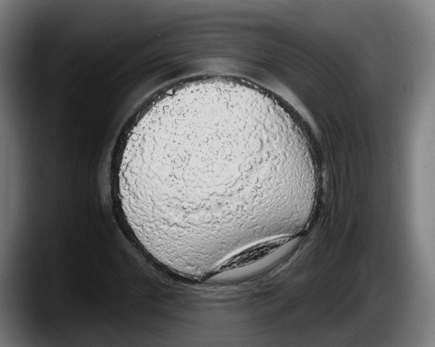 X0000087560972200705251757