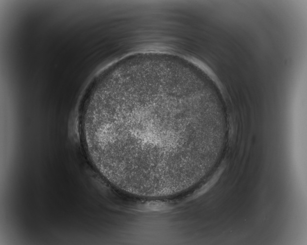 X0000087560974200705251757