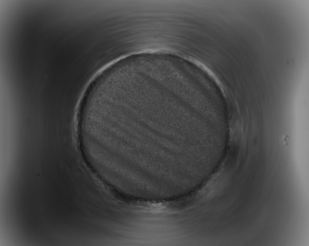 X0000087560975200705251757