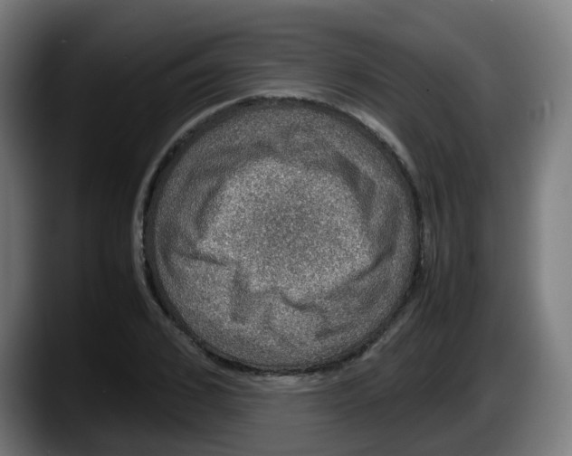 X0000087560976200705251757