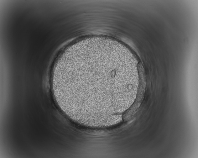 X0000087560979200705251757
