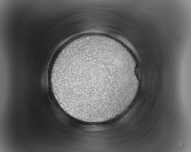X0000087560980200705251757
