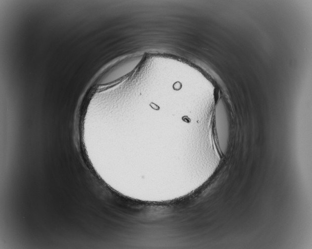 X0000087560984200705251757