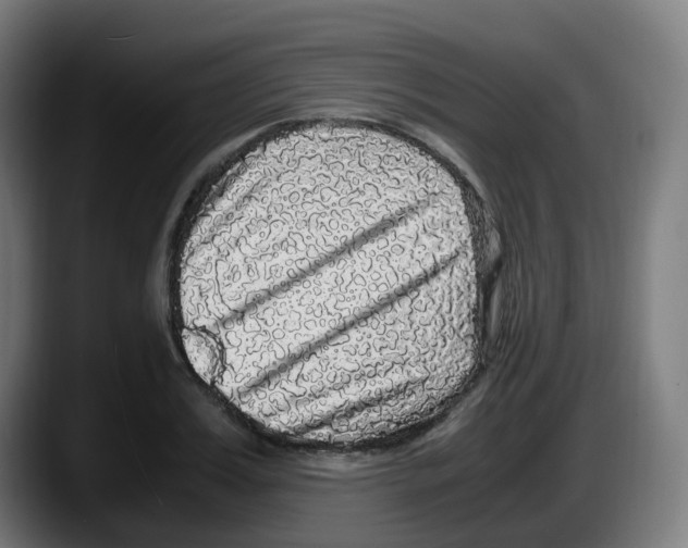 X0000087560987200705251756
