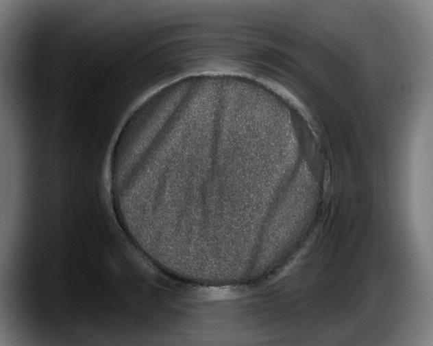 X0000087560990200705251756