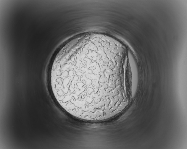 X0000087560991200705251756