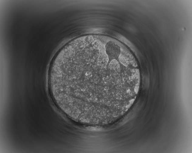 X0000087560994200705251756
