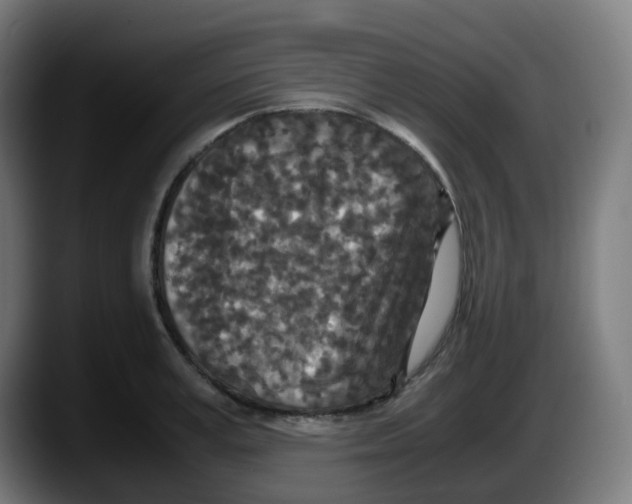X0000087560995200705251756