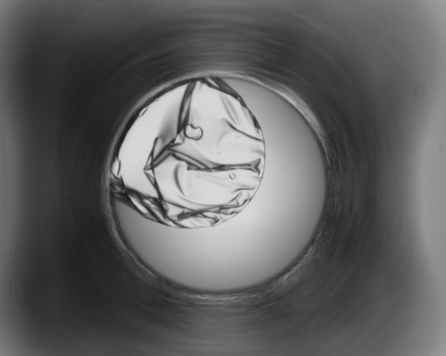 X0000087560996200705251756