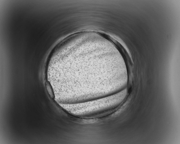 X0000087560997200705251756