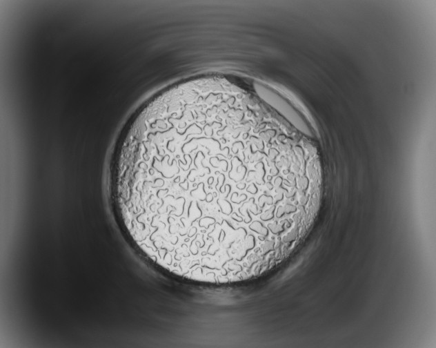 X0000087560999200705251756