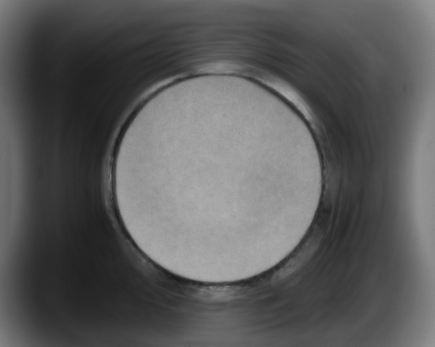 X0000087561000200705251756