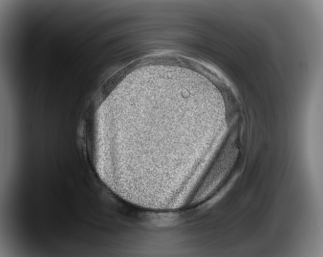 X0000087561001200705251756