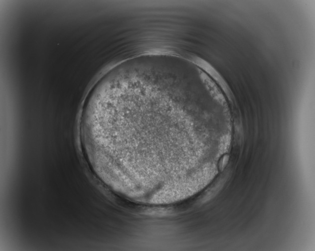 X0000087561002200705251756