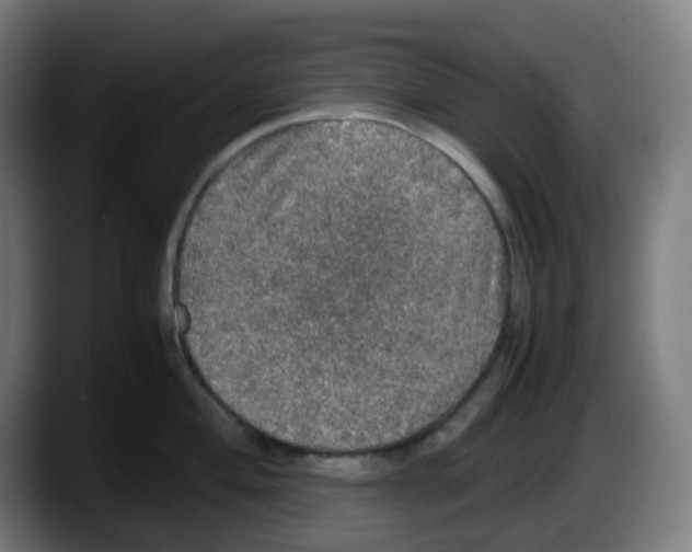 X0000087561004200705251756