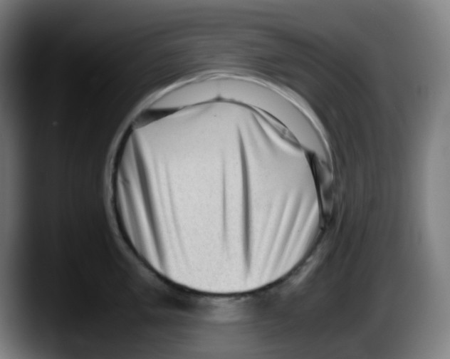 X0000087561005200705251756