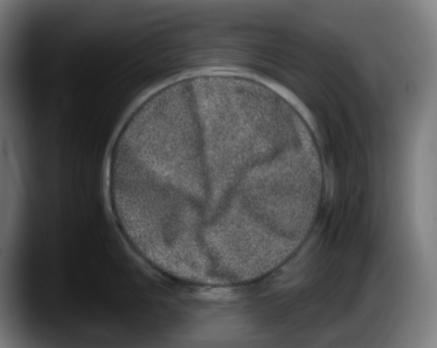 X0000087561006200705251756