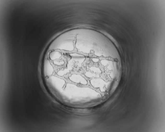 X0000087561007200705251756