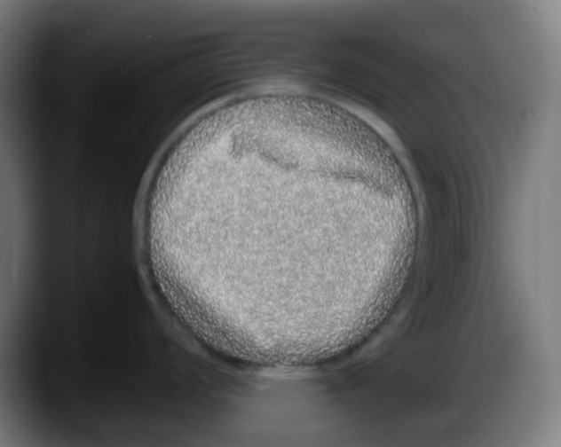 X0000087561008200705251756