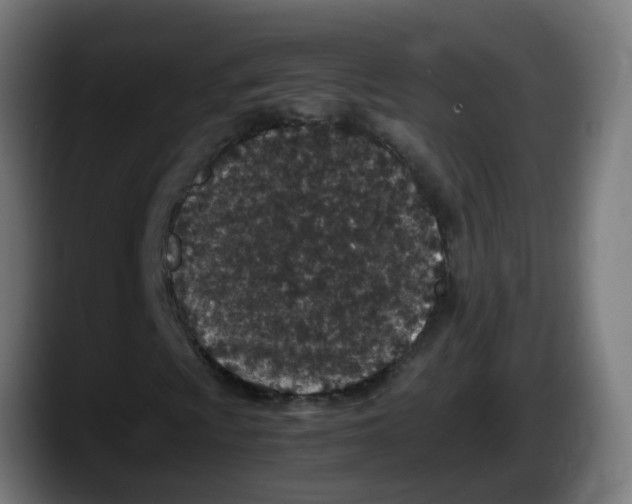 X0000087561009200705251756