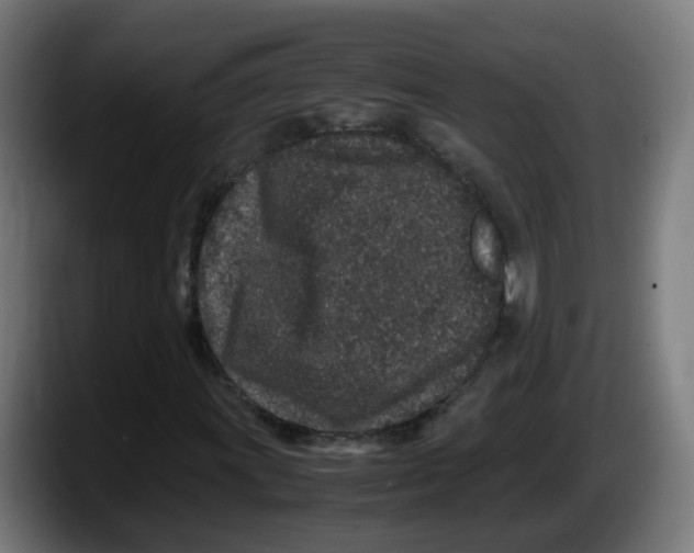 X0000087561011200705251756