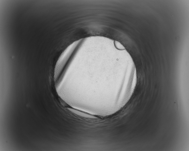 X0000087561012200705251756