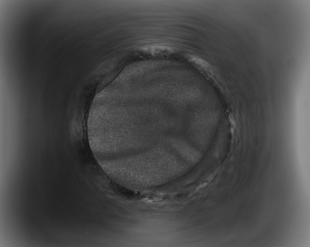 X0000087561014200705251756