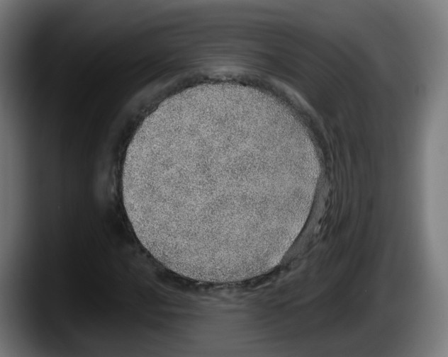 X0000087561016200705251756