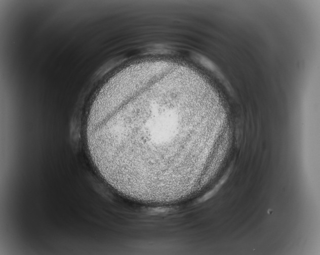 X0000087561017200705251756