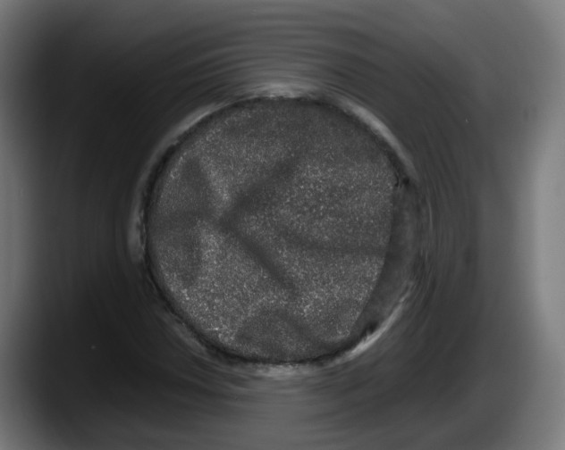 X0000087561018200705251756