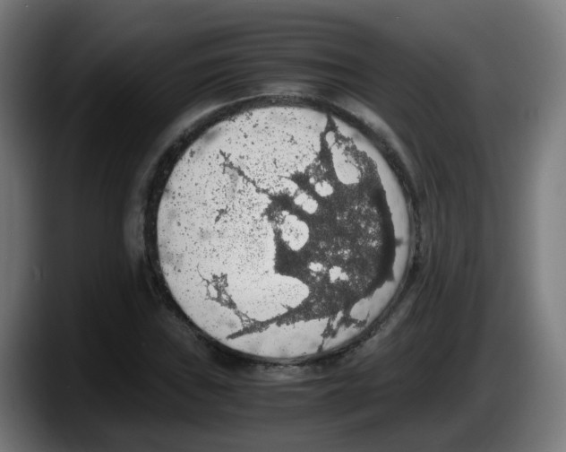 X0000087561019200705251756