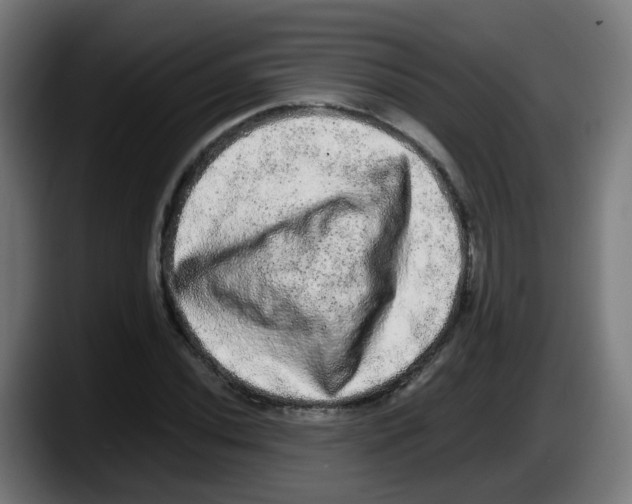 X0000087561020200705251756