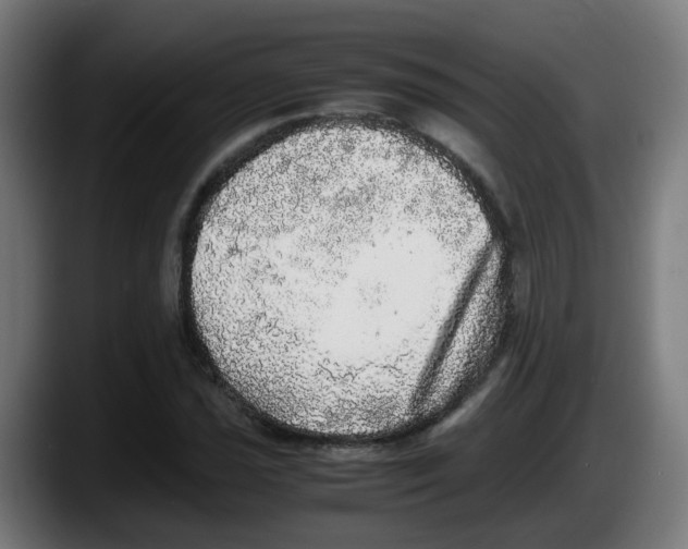 X0000087561021200705251756