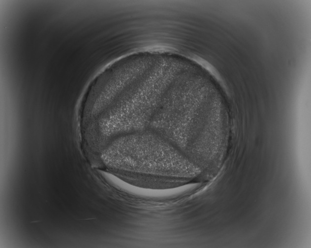 X0000087561022200705251756