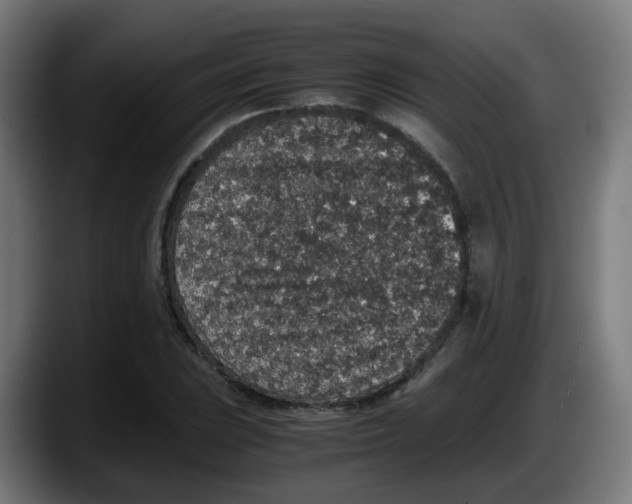 X0000087561023200705251756