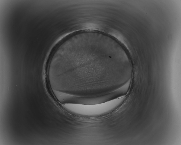 X0000087561024200705251756